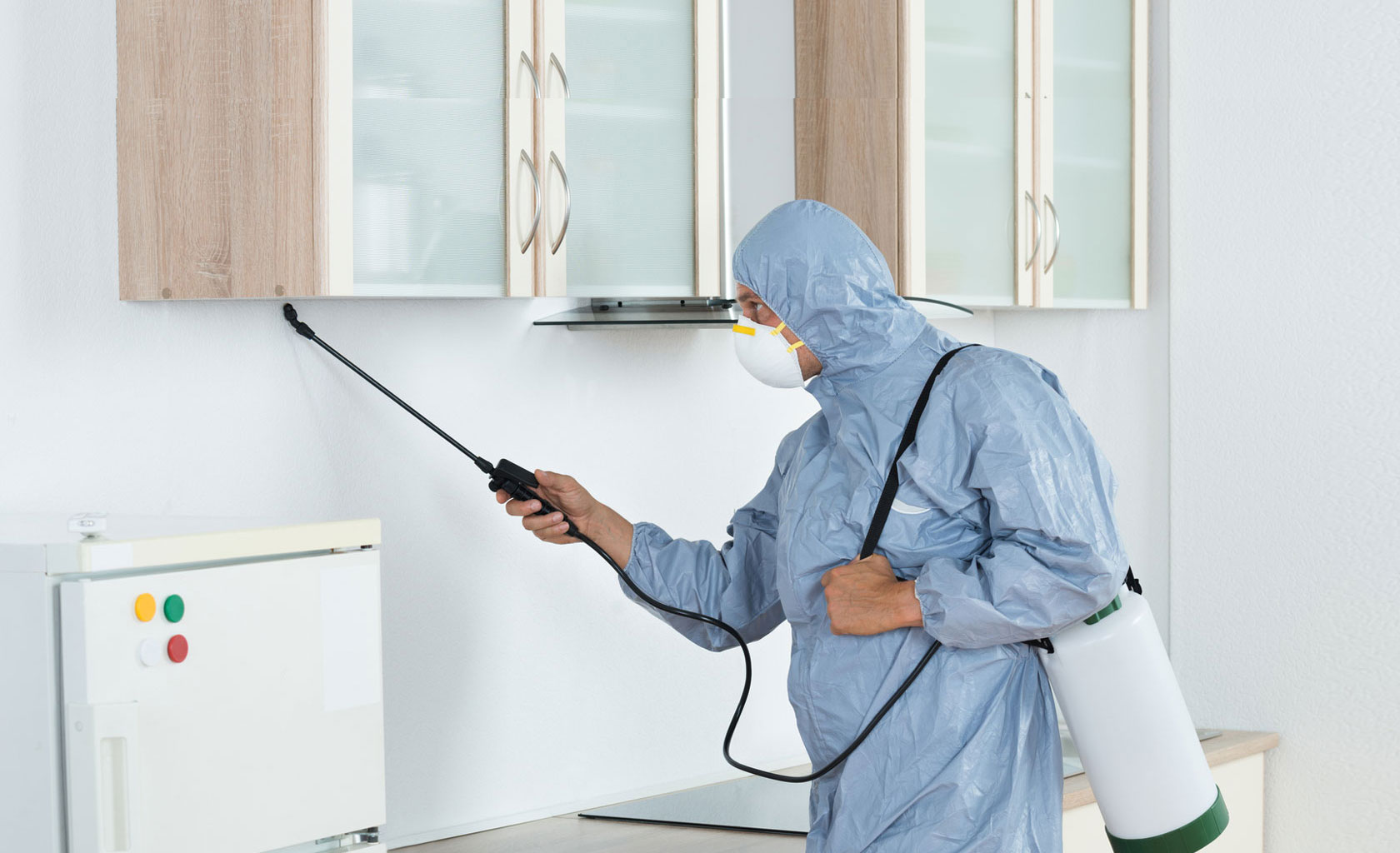 Termite Treatment